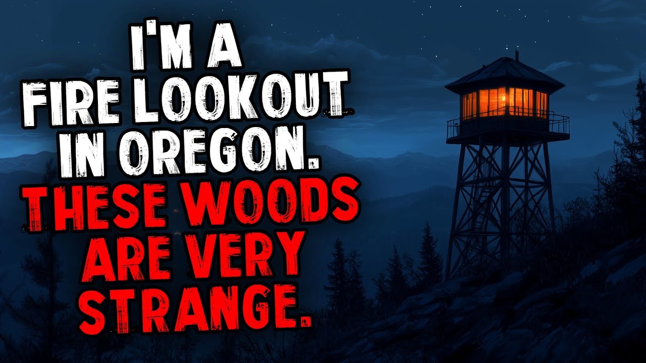 I'm a Fire Lookout in Oregon. These Woods Are Very Strange.