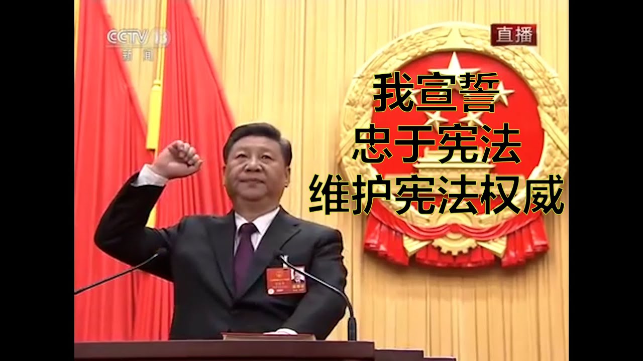 【改编/翻唱】平平连任 - （原曲：星星点灯）