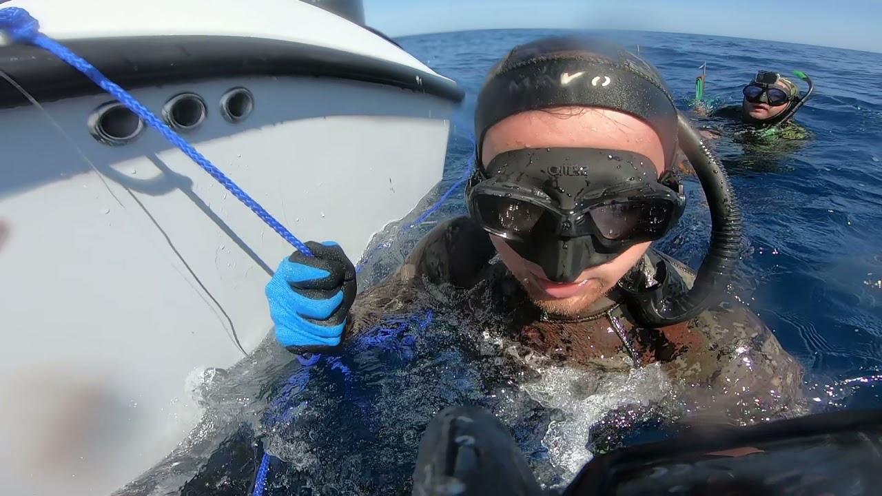 Freediving blackout after shooting a permit and dealing with sharks