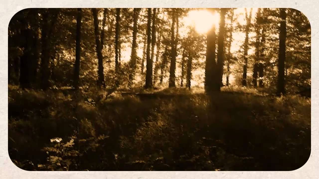 False Mirror - Lichtgestalt