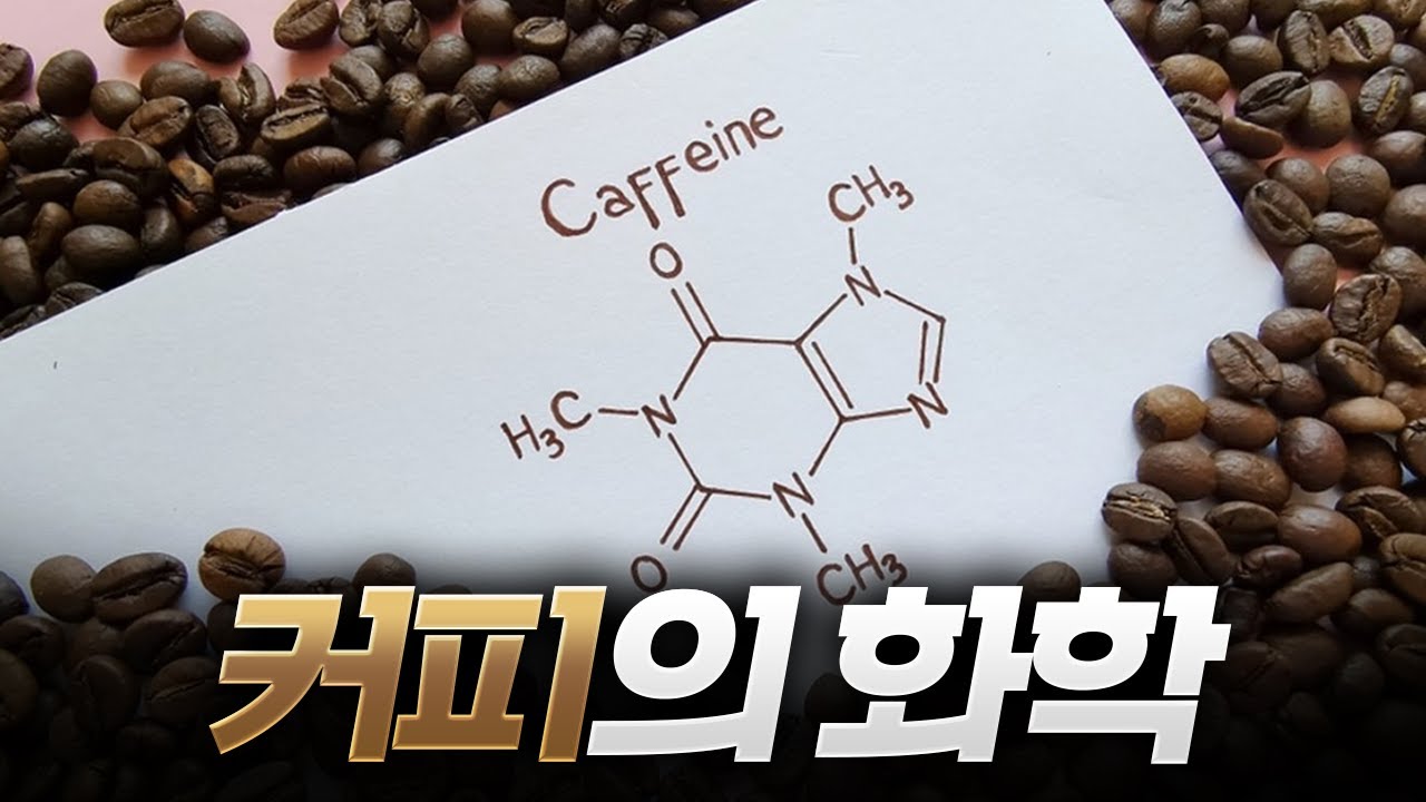 커피와 카페인의 화학!
