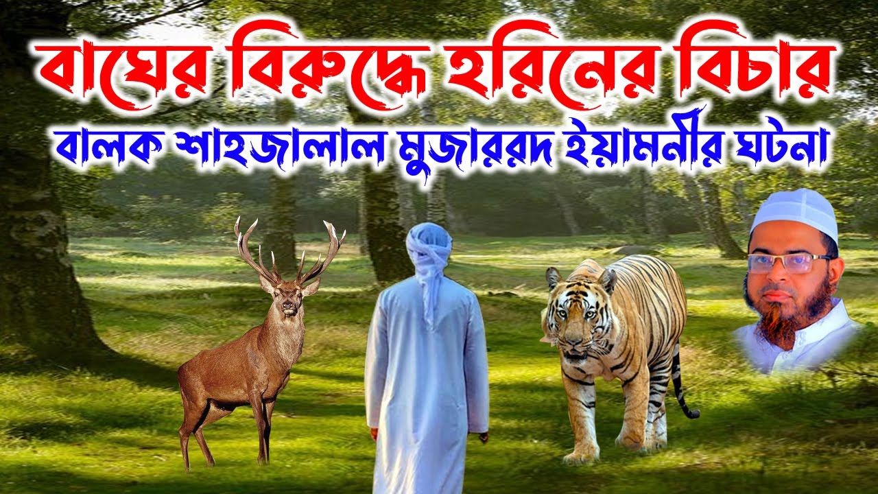 বাল শাহাজালাল মুজাররদ ইয়ামনীর ঘটনা | Nasir Uddin Ansari | নাসির উদ্দিন আনসারী