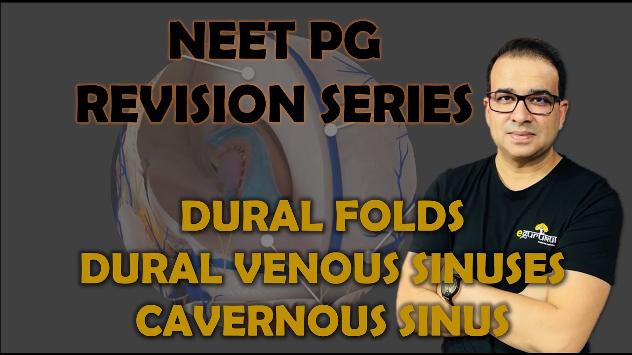 NEET PG- DURAL FOLD, DURAL VENOUS SINUSES & CAVERNOUS SINUS