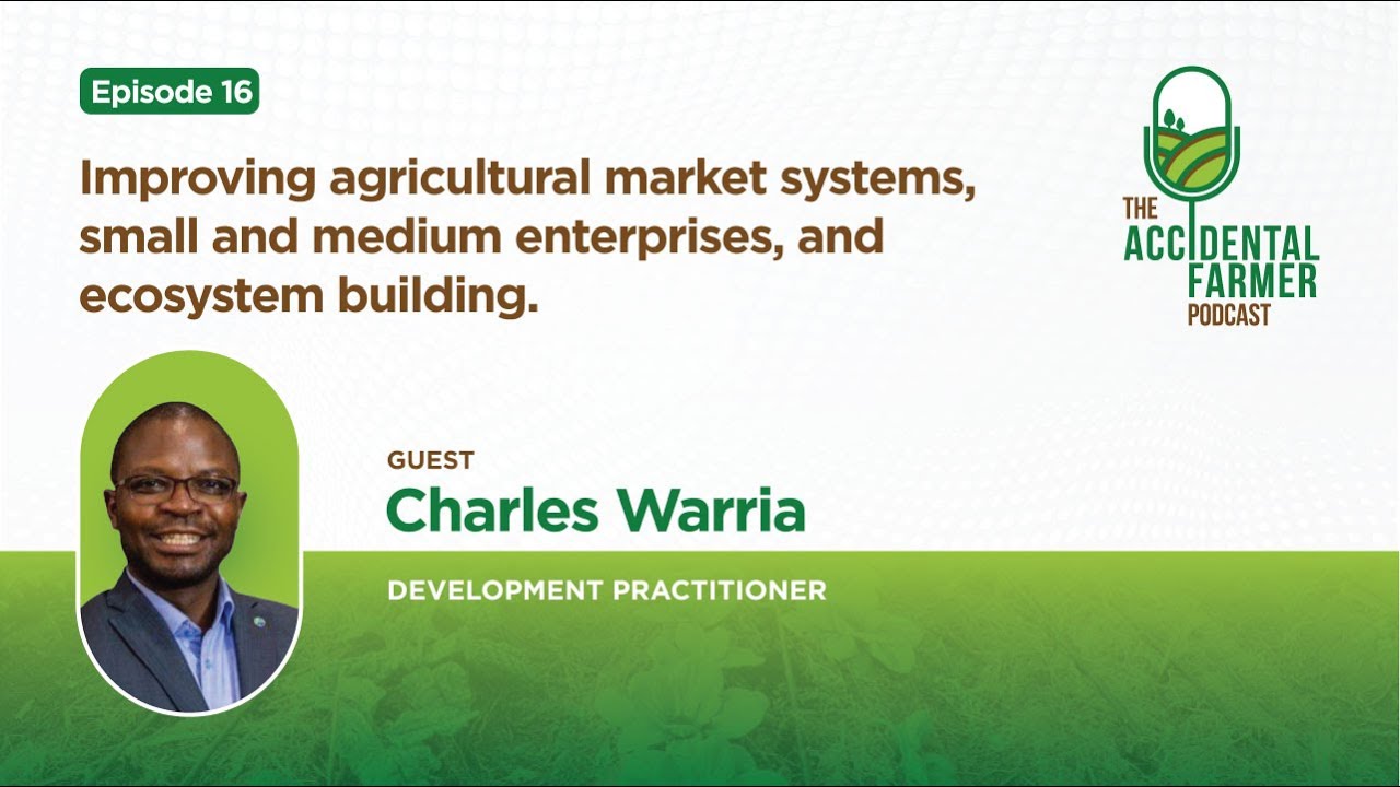 Episode 16: Improving agricultural market systems, small and medium enterprises, ecosystem building.