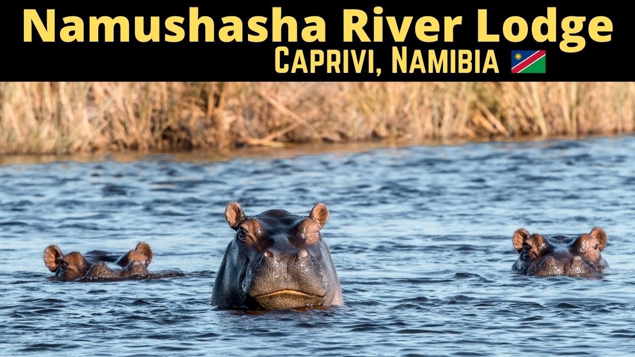 Incredible Game Drives 🐆 & Boat Safaris 🦛 at Namushasha River Lodge in Caprivi 🇳🇦