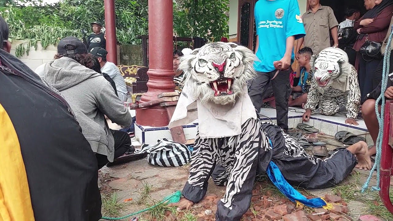 Buron Alas Macanan Seni Bantengan Putro Khantil Live Ardilangu Dlanggu Mojokerto