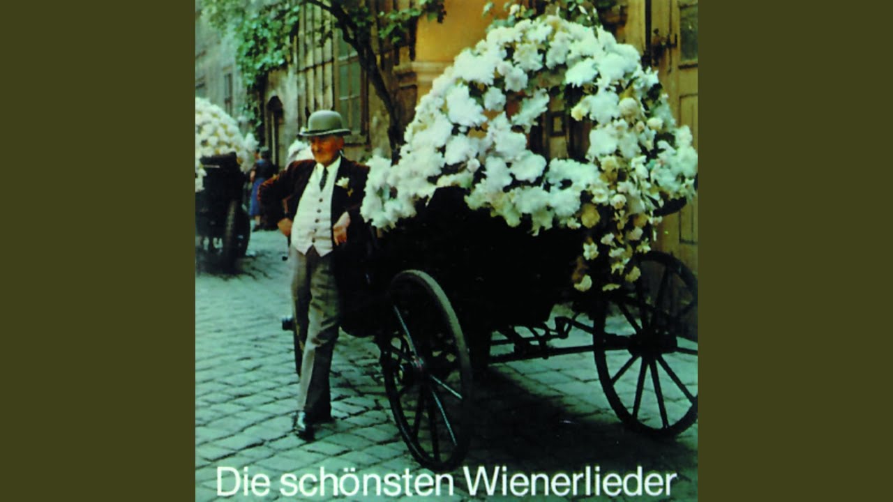 I hab die schönen Maderln net erfunden