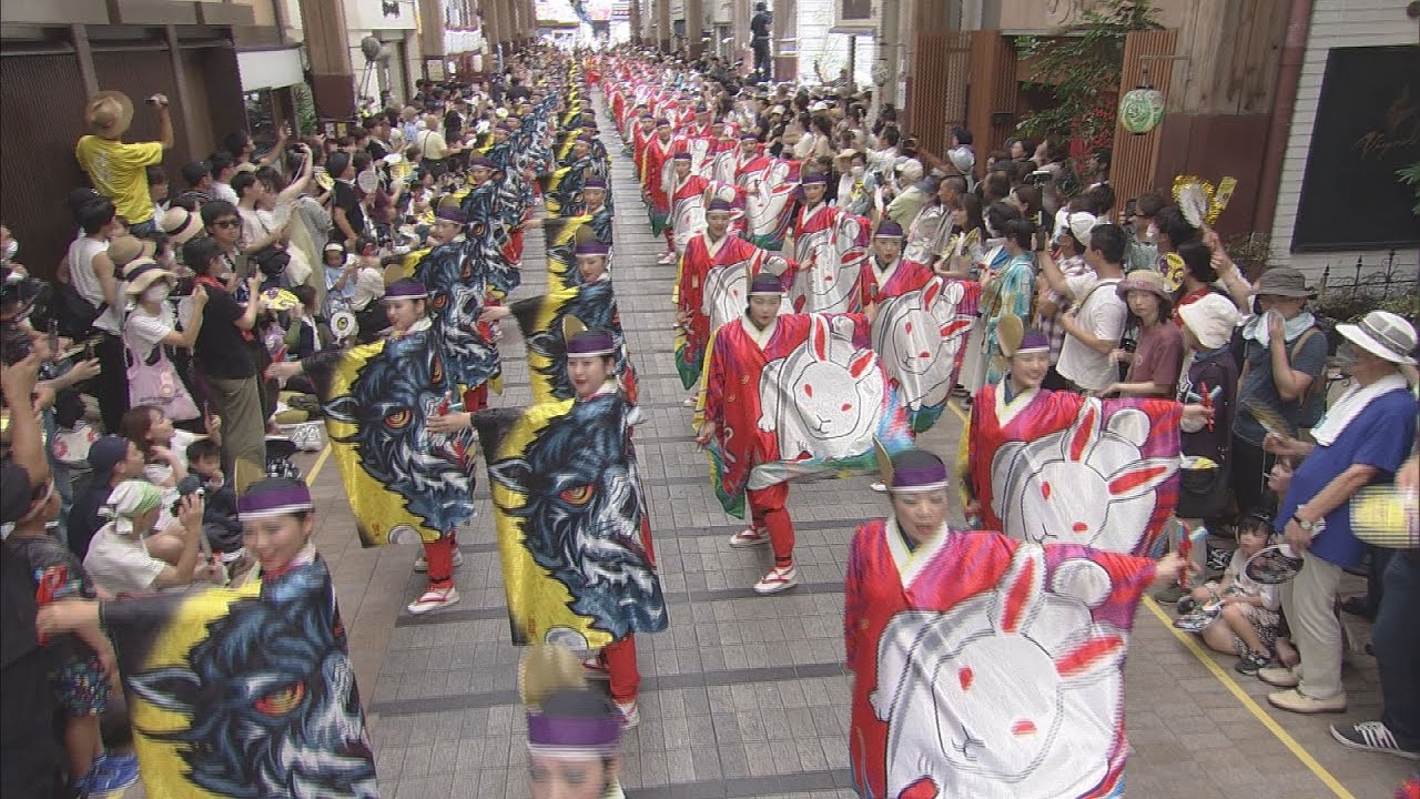 「とらっくよさこい（ちふれ）」よさこい大賞3連覇！【2024年】