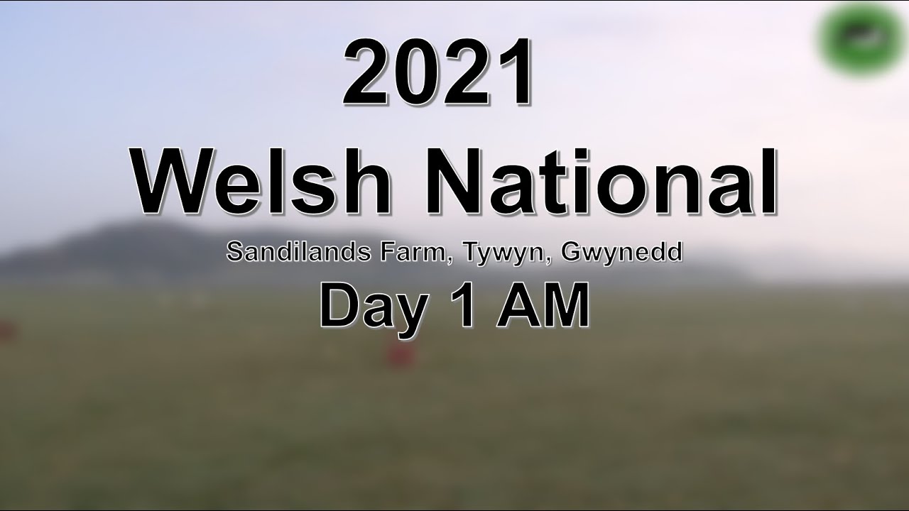 2021 Welsh National Sheep Dog Trials Day 1 AM