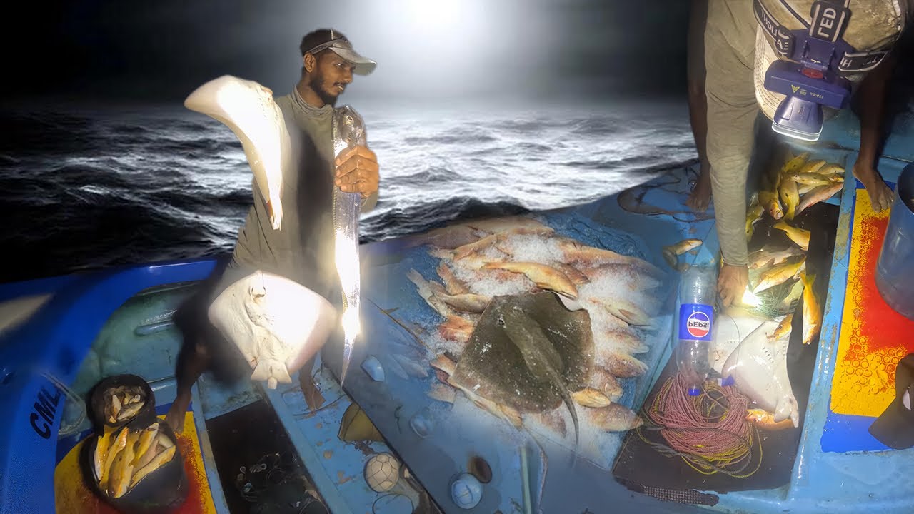 Midnight Night Fishing For Hooks  Caught Trevally Emperor and Stingray fish Episode 07 South Asia 