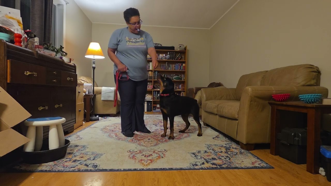 Fable - Leash On/Off - January 4, 2026