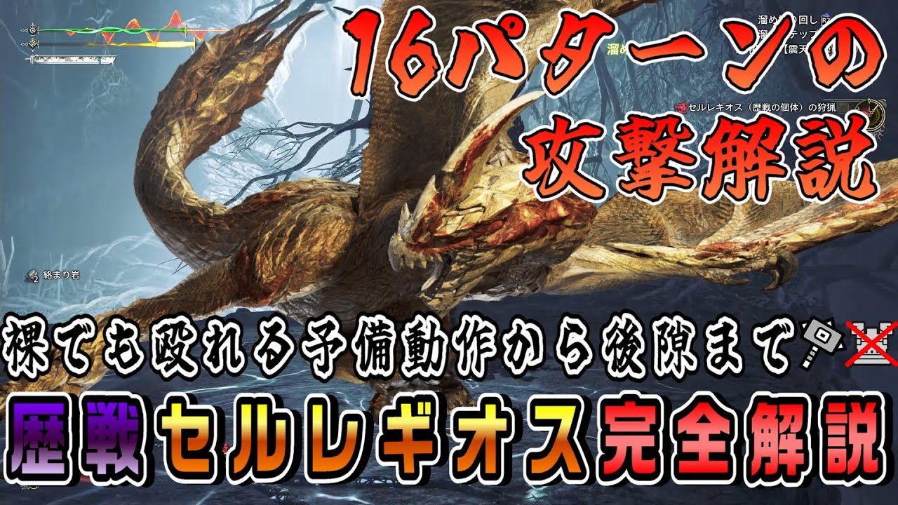 【解説】苦手な人に向けた、裸でもできる歴戦セルレギオスの安全な殴り方完全解説【MHwilds】