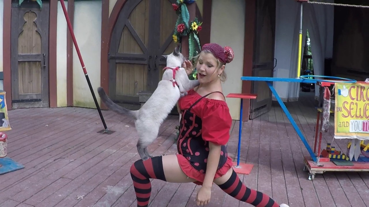 Cat Dances Ballet with Cirque Du Sewer