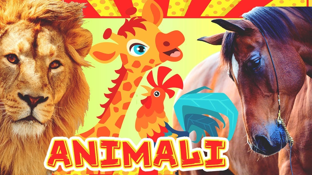 Impara gli Animali (Nomi e Versi) 🎴 FLASHCARD + Animali Nella Vita Reale | Video Educativi per Bimbi