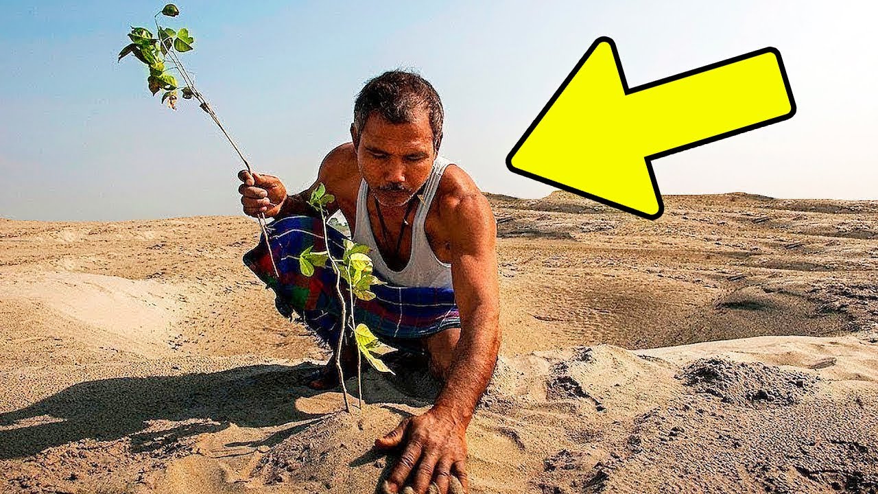 As Pessoas Riram Dele Plantando Árvores no Deserto. Anos Depois, Algo Chocante Aconteceu