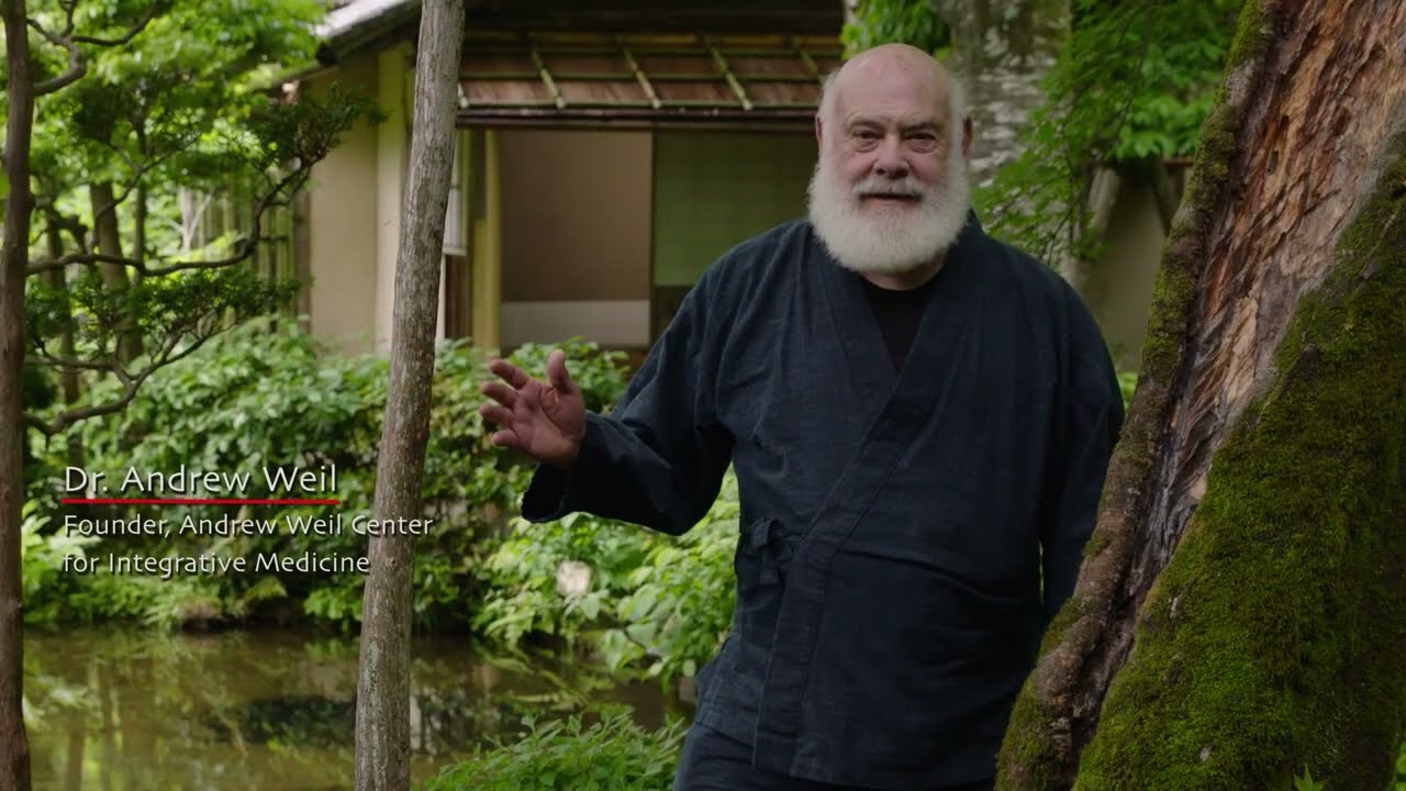 Zen and the Art of Matcha Film Trailer