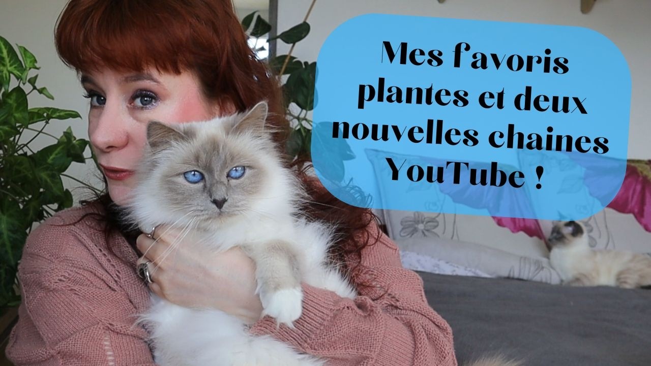 MES FAVORIS RANDOM 🍭 février 2026 🌱 je redécouvre avec joie mes plantes