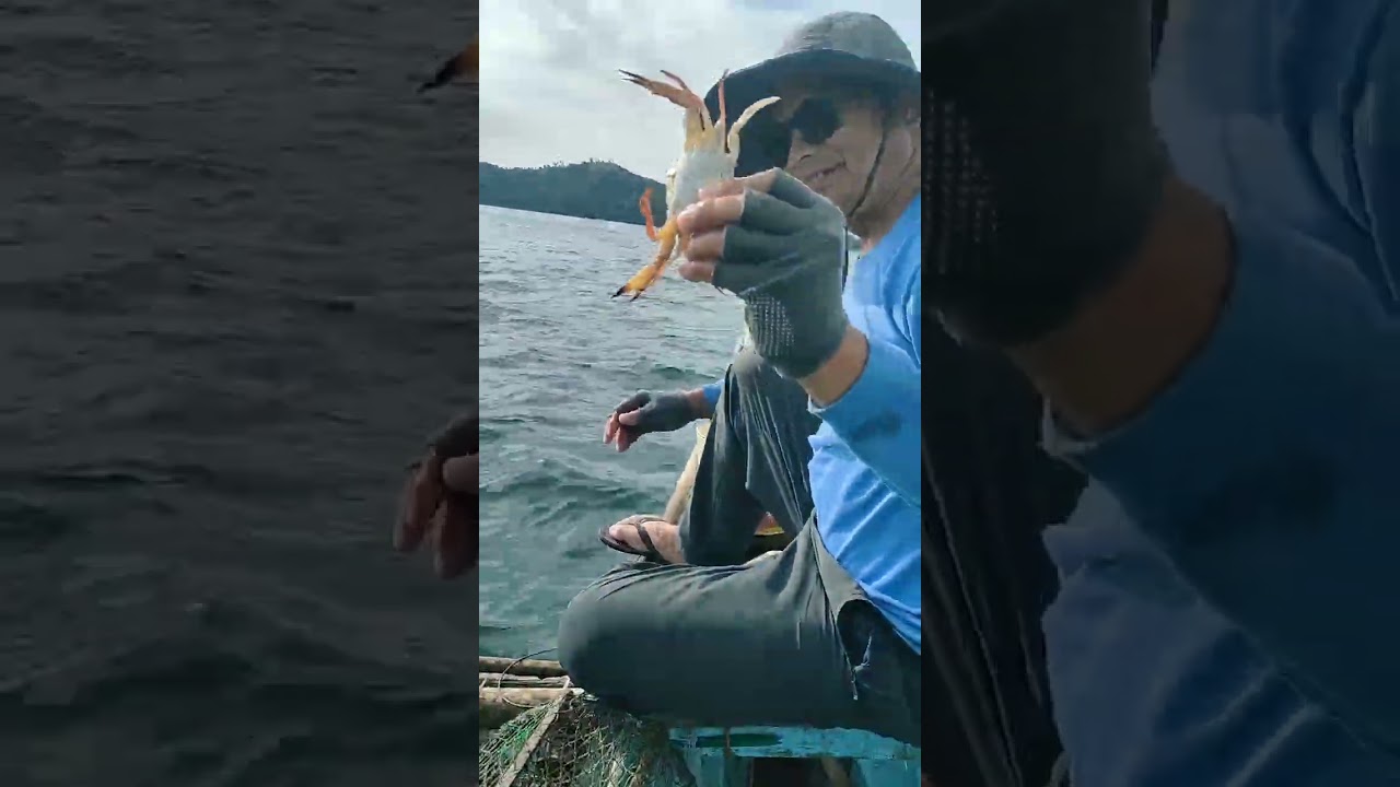 May Huli! Blue crab sa Maqueda bay gamit ang bubu trap.🦀🌊