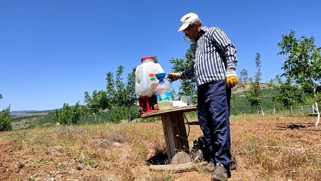 Mantar(Fungisit) Hastalığı İçin M45 (80WP) İlacı hazırlığı (Ceviz Bahçesinde Tam Sezon Yapılanlar 9)