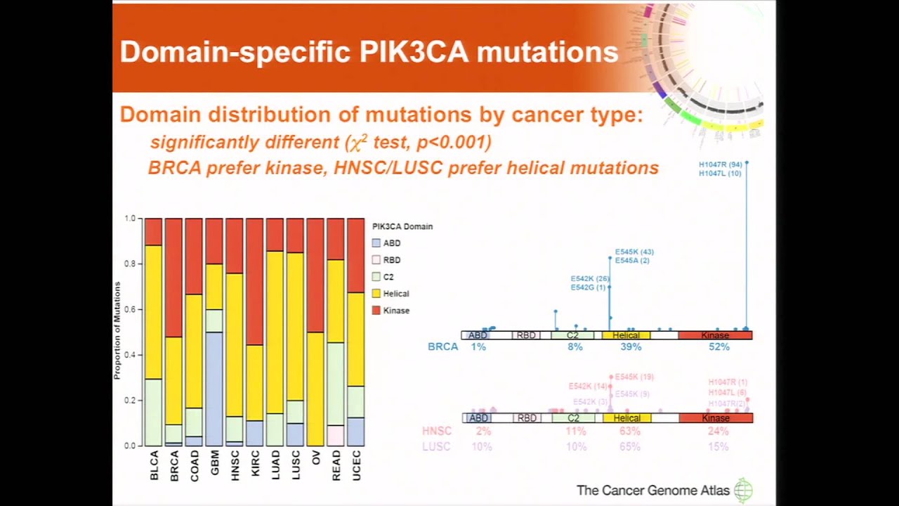 Domain-specific PIK3CA mutations affect different pathway activities... - Christopher Benz