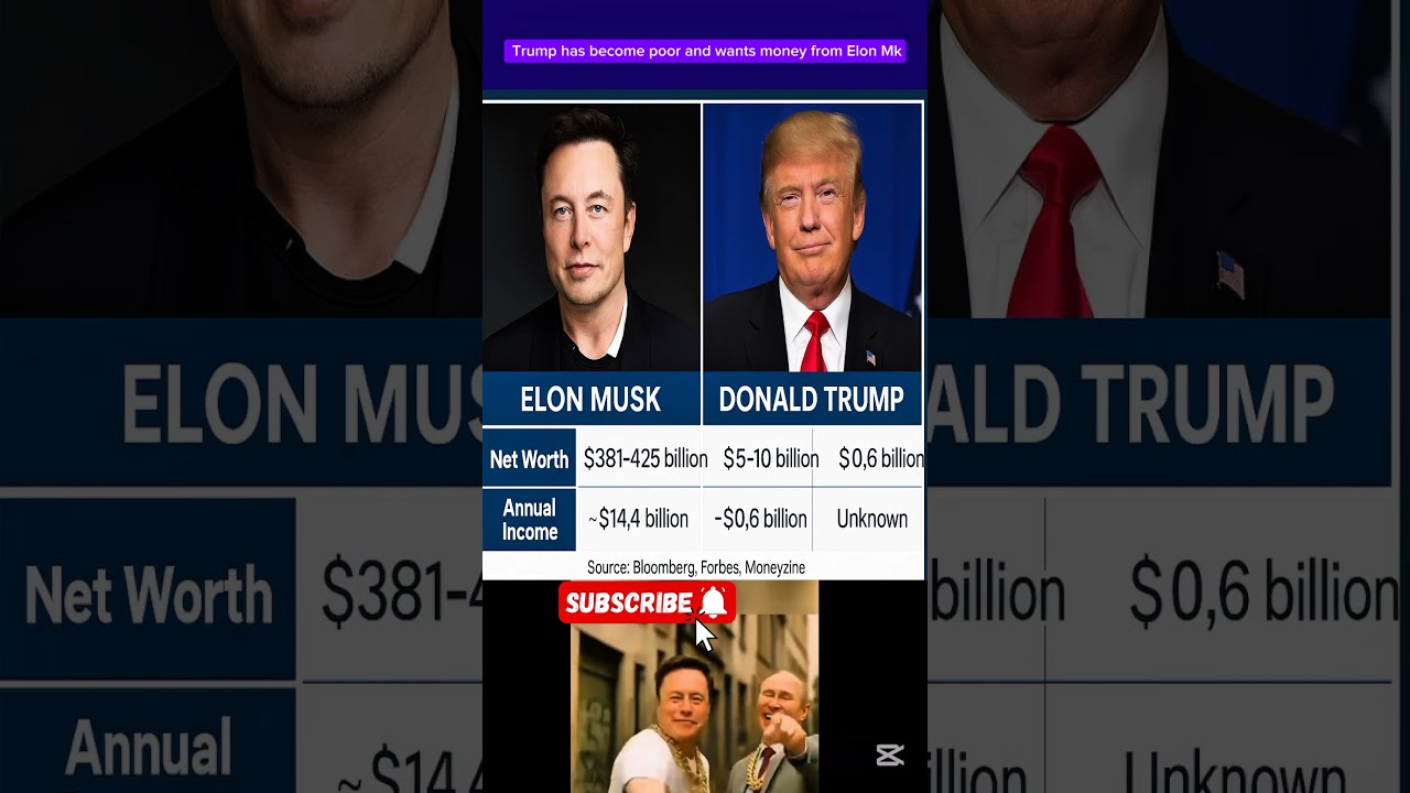 Elon Musk vs Donald Trump &ndash; Net Worth, Annual Income & Family 2025  HD Comparison