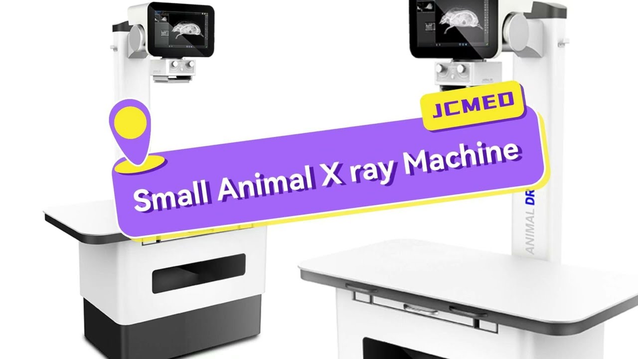 Radiography DR-A/B X-ray System Pet Veterinary Equipment Digital 32KW X-Ray Machine