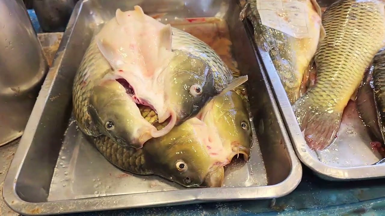 اطيب سمك مسكوف على الحطب // مسكوف عراقي