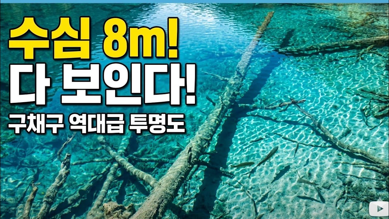 맑은날 구채구(九寨沟) 정말 미쳤다 !!!