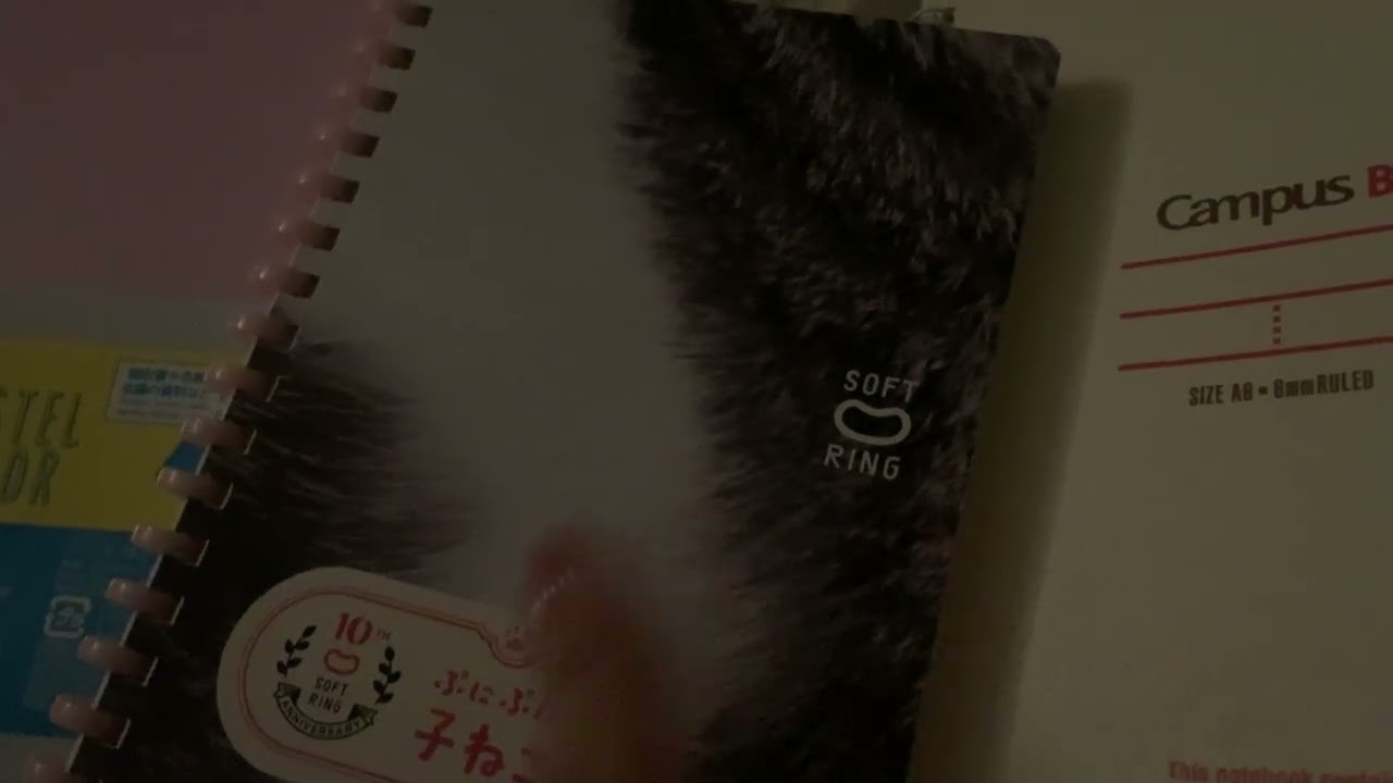 今日はほぼ英語学習してないの