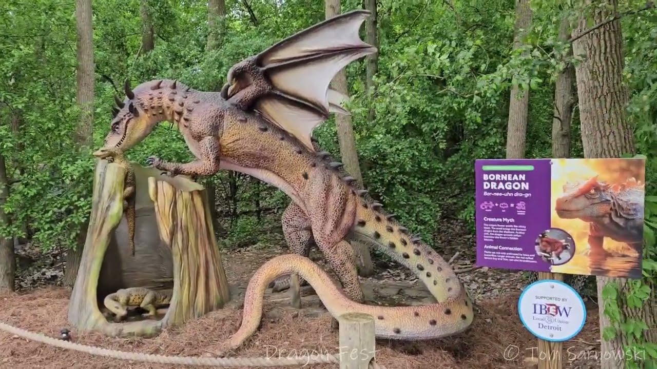 Detroit Zoo Dragon Festival - here is a walk thru the Animated Forest of Dragons