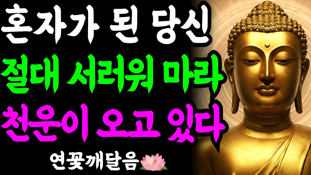 나이 들수록 혼자가 되어야 하는 진짜 이유 | 부처님이 알려준 고독의 힘 | 부처님 말씀 | 석가모니 | 불교명언 | 불교오디오북