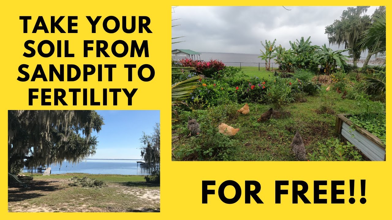 Permaculture Garden Food Forest with Compost and Leaf Litter to Make Your Yard or Farm More Fertile