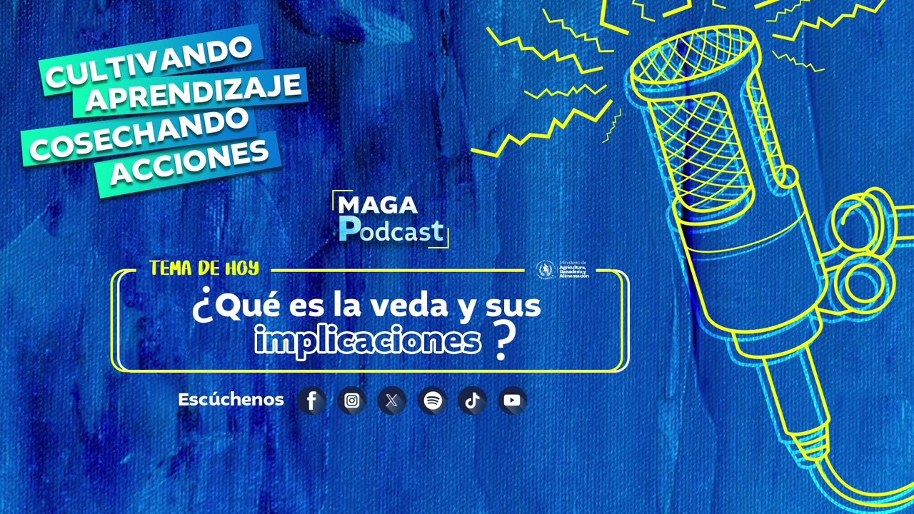 &iquest;Qu&eacute; es la veda?