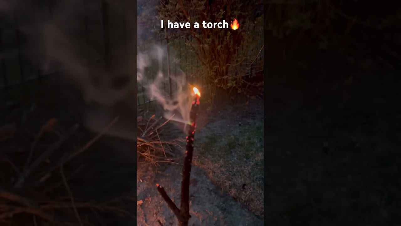 Stick+Fire = Torch #torch #fire #nature #stick #outside