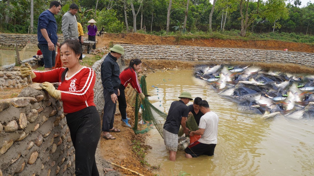 TIMELAPSE: Building a stone wall 310m around the pondi with 2 million stones / Harvesting fish