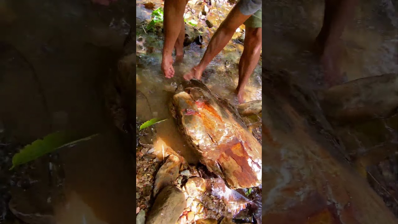 whatever the world says #golrush #goldprospecting