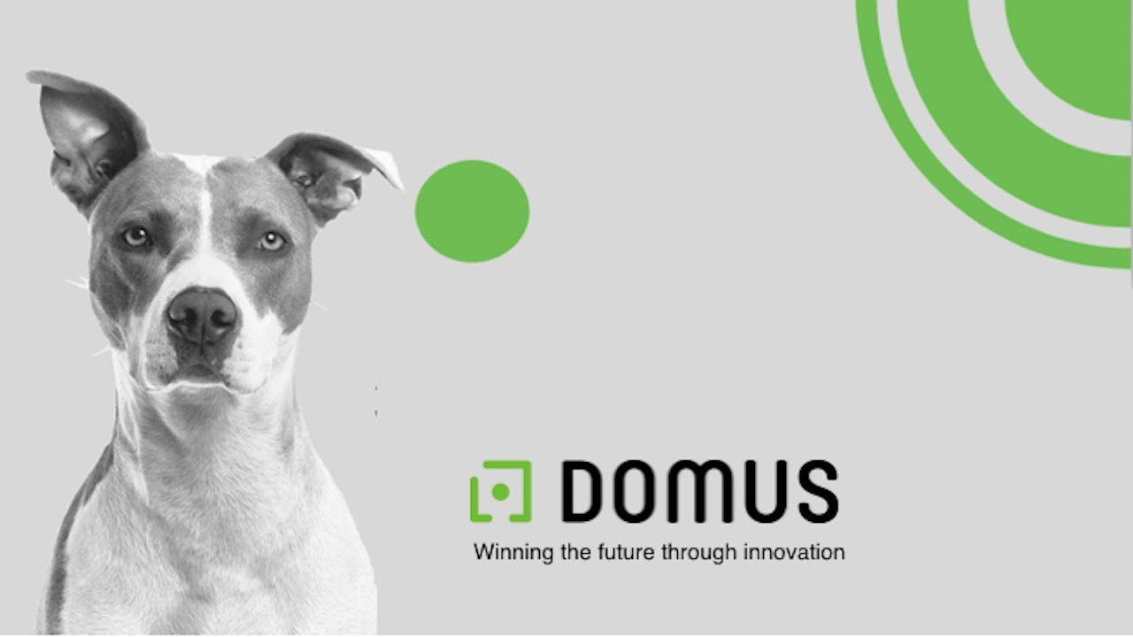 2019 Domus Laundry ® Energy saving equipment.
