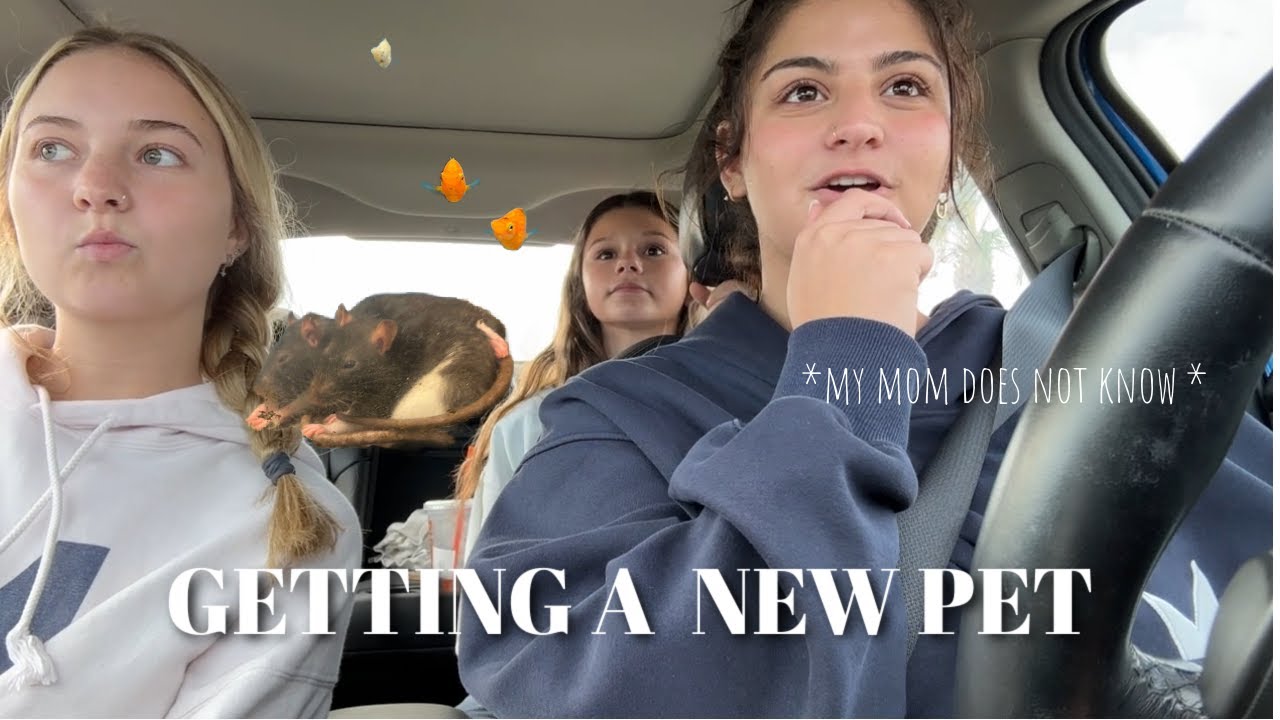 buying a pet *my mom has no idea *