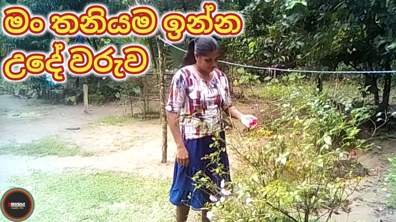 මං තනියම ඉන්න උදේ වරුවක් 🥰🥰| Nirosha family life 💖💖