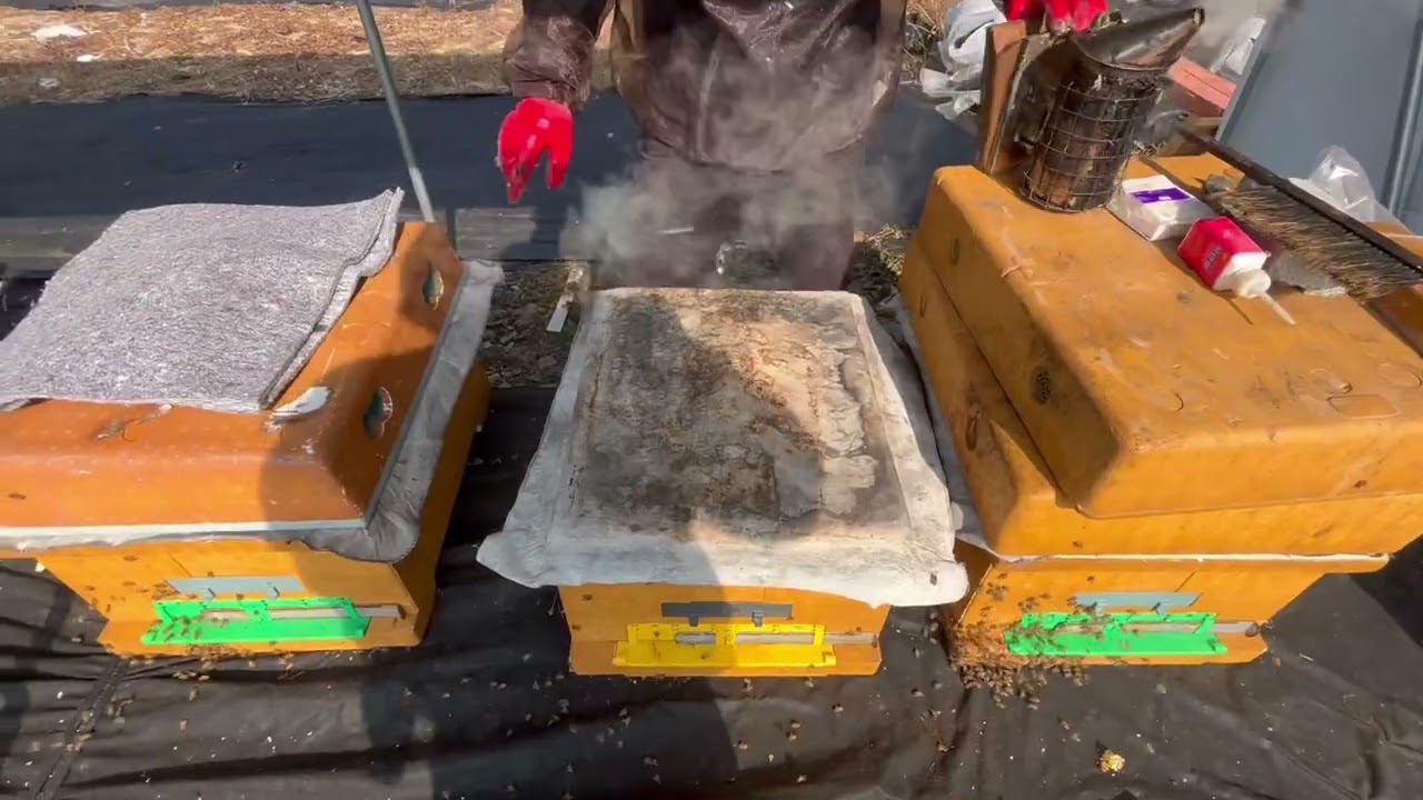 봄벌 깨우기 마지막 작업｜보온·정리 마무리 까지