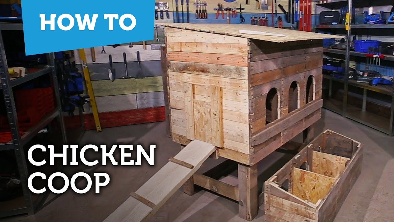 How to build a chicken coop