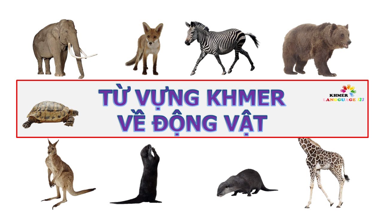 Từ vựng Khmer - Chủ đề: ĐỘNG VẬT | Khmer vocabulary - Animal themes