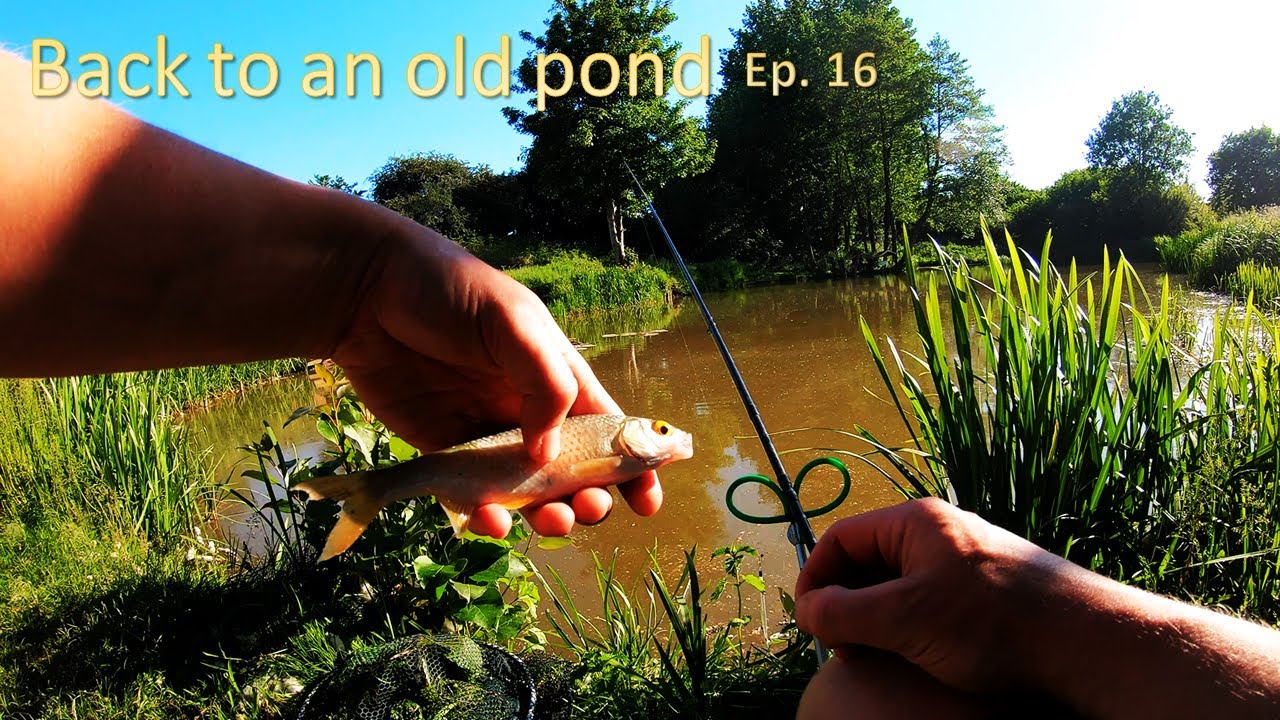 River Foss Fishing - Ep. 16: Float Fishing a Small Pond