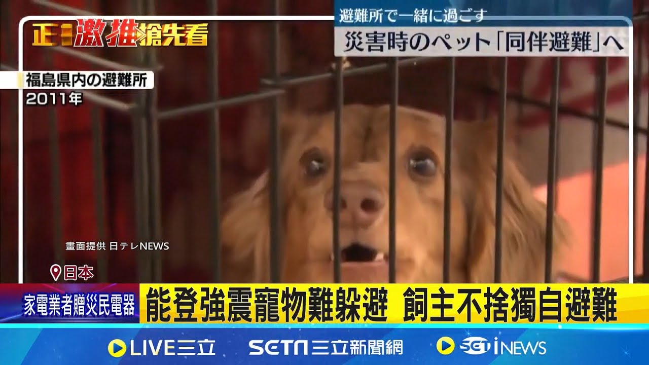 寵物就是家人 日推動寵物主人