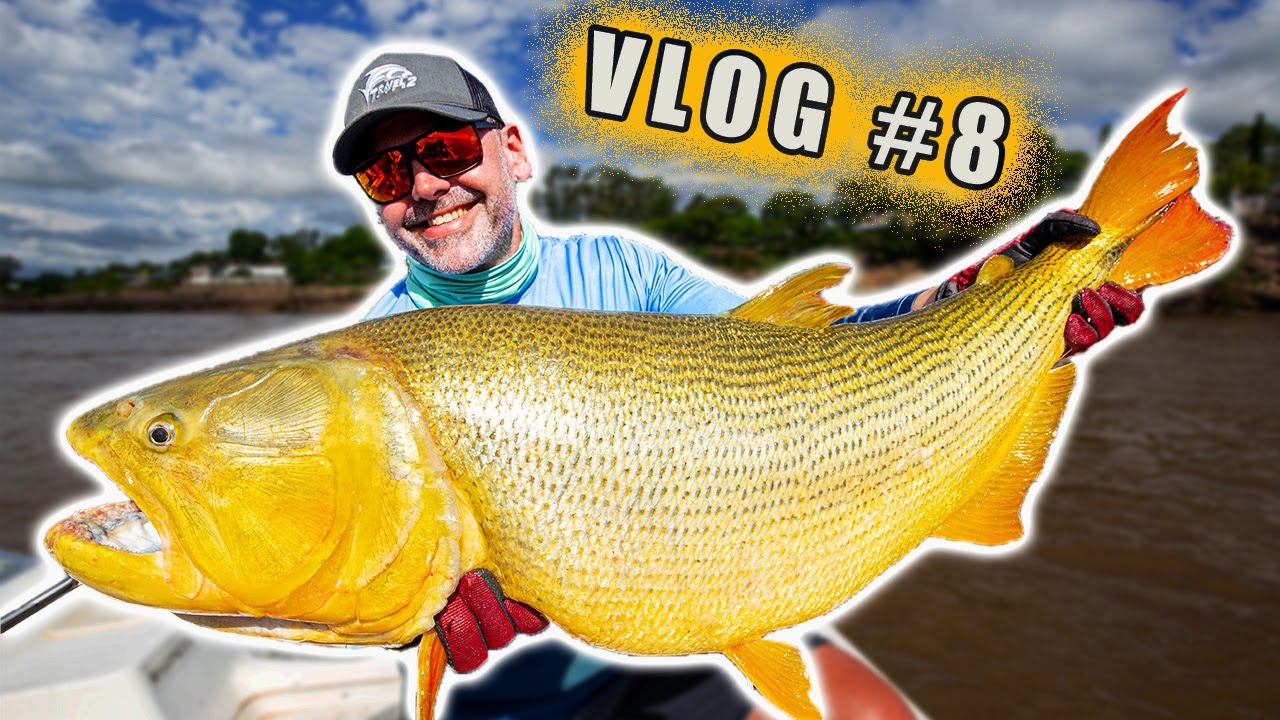 T2F Vlog #8 | Goldrausch am Rio Uruguay in LA ZONA | Auf Golden Dorado in Argentinien