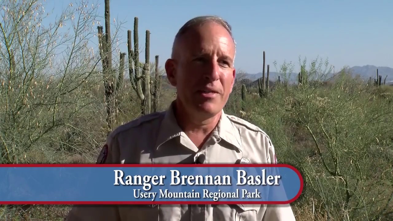 Bee prepared when hiking at Maricopa County parks