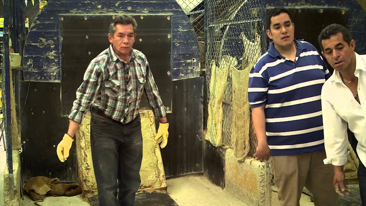 Tejo, Colombia’s national sport, struggles with modernity