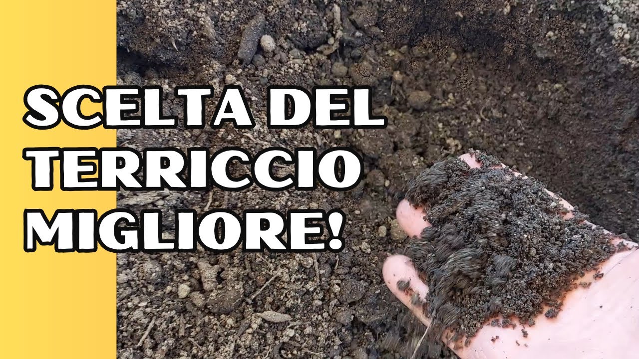 Peperoncini: Come Scegliere il terriccio Migliore?