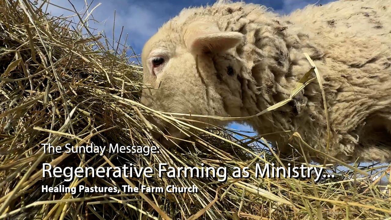 REGENERATIVE FARMING AS MINISTRY (To the soil, the sheep, the shepherd & the customer)