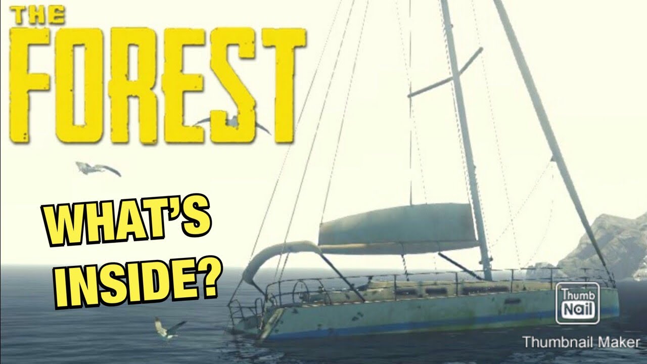 What&rsquo;s Inside The Yacht Door? The Forest